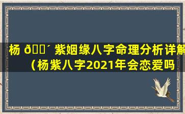 杨 🐴 紫姻缘八字命理分析详解（杨紫八字2021年会恋爱吗 🐦 ）